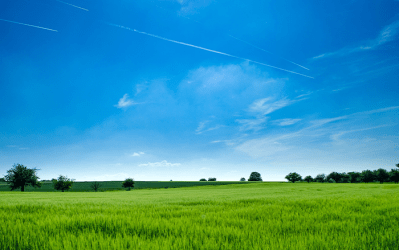 Arnaques : trop vert pour être vrai ?