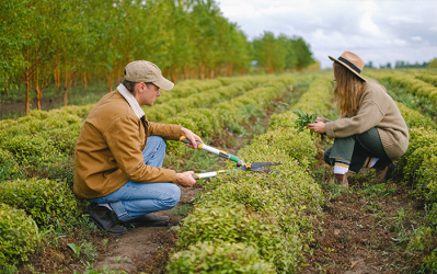 Agriculture et horticulture : soutien des travailleurs occasionnels