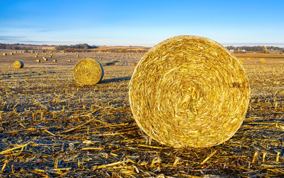 Wallonie : coefficients de fermage 2024