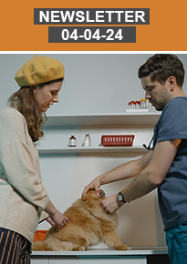 Newsletter 04-04 FR newsletter