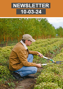 newsletter 10-03-24 sdi newsletter