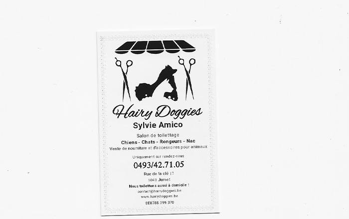Hairy Doggies – Salon de toilettage – Jumet 6040
