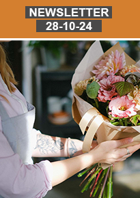 Newsletter 28-10-24 newsletter