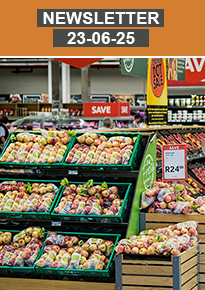 Newsletter FR newsletter